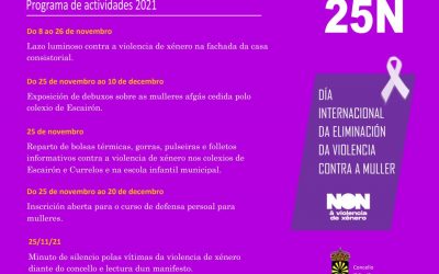 25N, Día Internacional  da Eliminación da Violencia contra a Muller