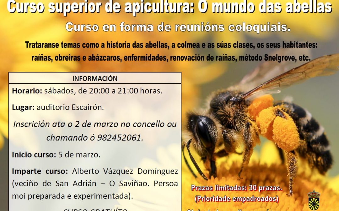 Curso de apicultura