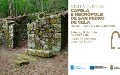 Visita guiada