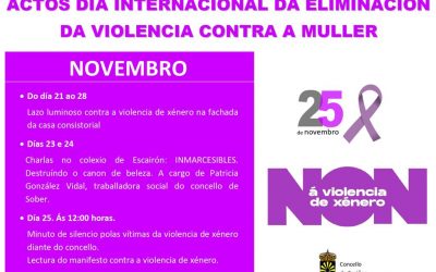 Dia internacional da eliminación da violencia contra a muller. 25N